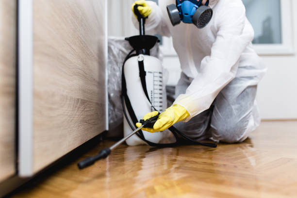 Best Best Pest Control Companies  in Darmstadt, IN