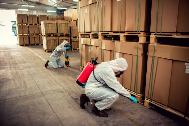 Best Affordable Pest Control Services  in Darmstadt, IN