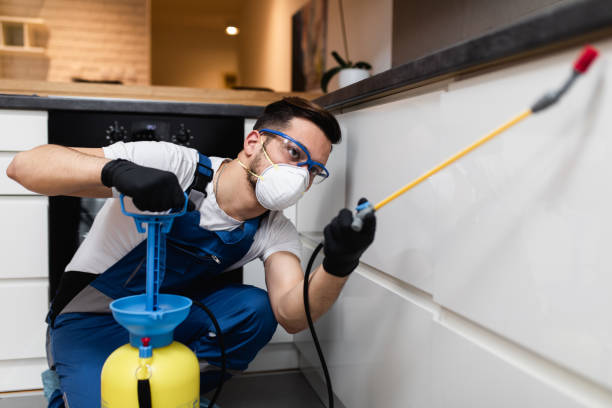 Best Rat Extermination Near Me  in Darmstadt, IN