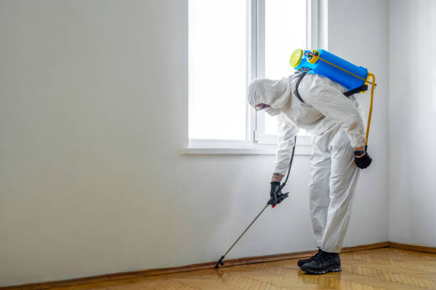 Best Mosquito Control Services  in Darmstadt, IN