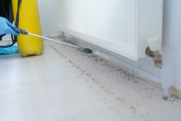 Best Pest Inspection Near Me  in Darmstadt, IN