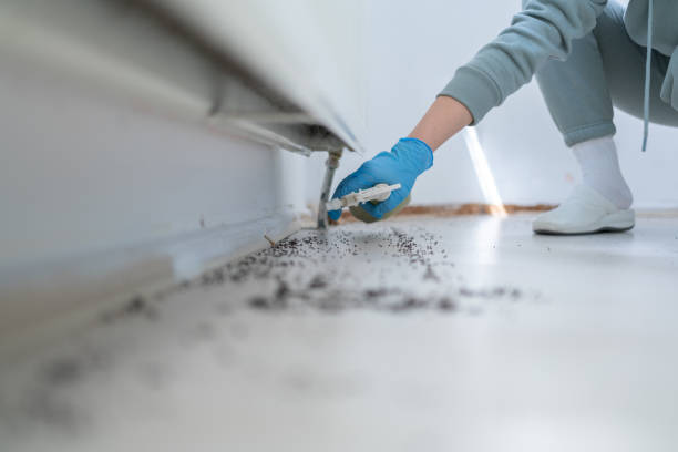 Darmstadt, IN Pest Control Company