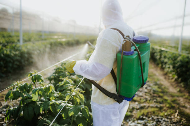 Best Residential Pest Control  in Darmstadt, IN